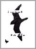 I want tofly '12
