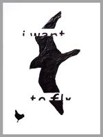 I want tofly '12