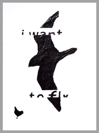 I want tofly '12